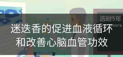 迷迭香的促进血液循环和改善心脑血管功效